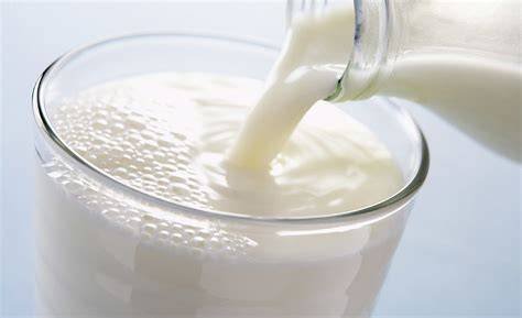Fresh Cow Milk